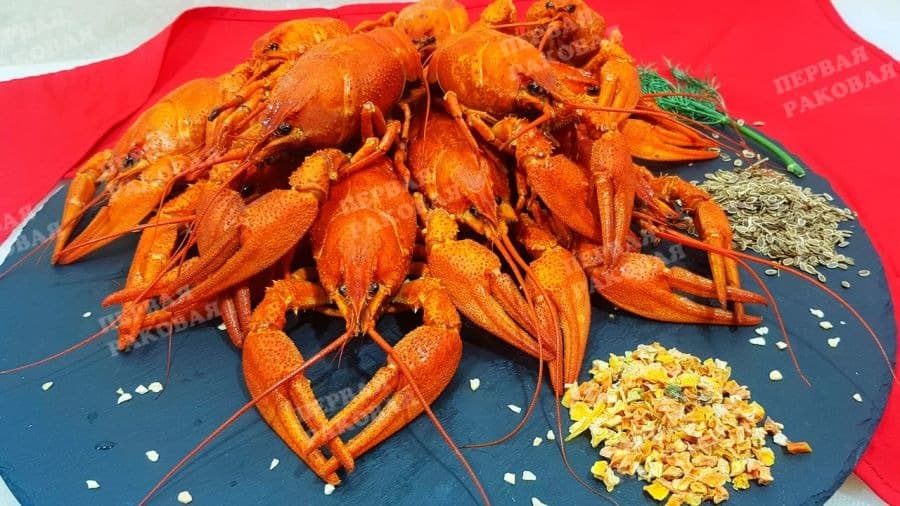 🦞 Свежий и варёный рак с доставкой — заказывайте у профессионалов!