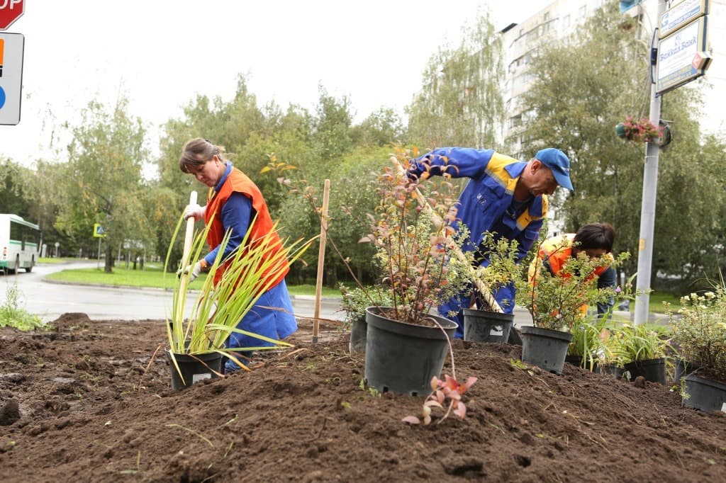 Комплексное благоустройство и озеленение — создаём ландшафты вашей мечты!
