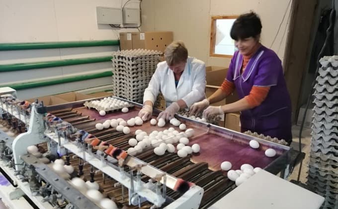 Поиск семейной пары для работы на предприятии