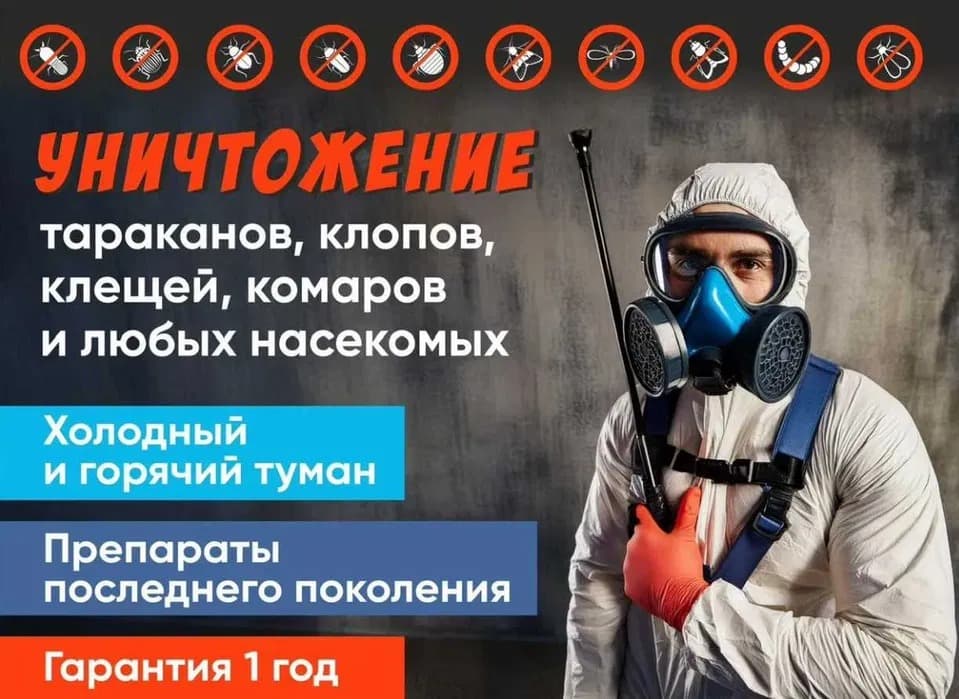 Уничтожение тараканов, клопов. Дезинсекция. Частный мастер